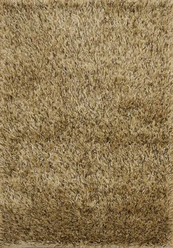 Warm Earth Tone Shag Rug for Casual and Chic Living Rooms 4x6