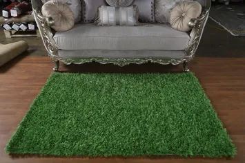 Green Shaggy Modern Oriental Rug 4x6