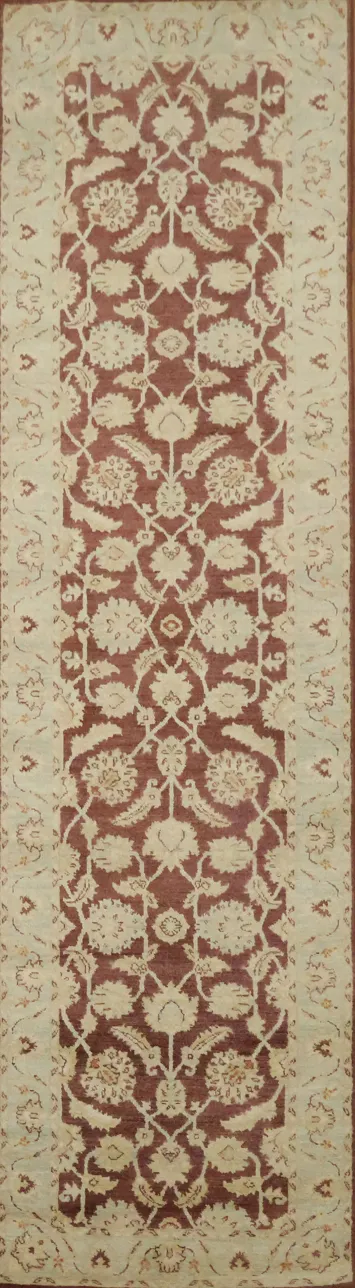 Traditional Red and Beige Runner Rug with Intricate Details 3'x10'