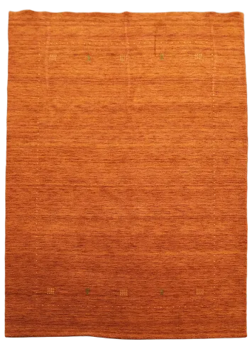 Orange Gabbeh Oriental Area Rug 6x8