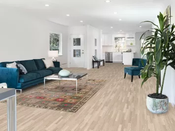 Vintage Bakhtiari Persian Area Rug 5x9