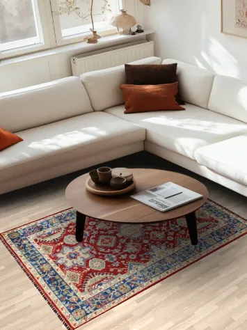 Red Vegetable Dye Heriz Wool Area Rug 4x6