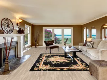 Vegetable Dye Black Aubusson Oriental Area Rug 7x10