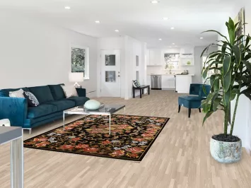 Vegetable Dye Aubusson Oriental Wool Rug 6x8