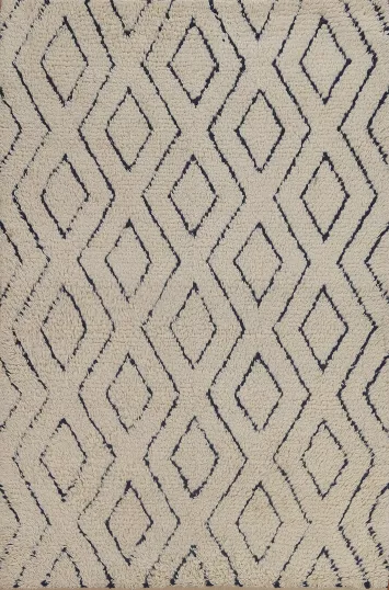 Trellis Wool Moroccan Oriental Area Rug 5x7