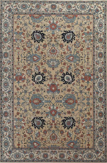 Floral Sultanabad Ziegler Oriental Area Rug 7x10