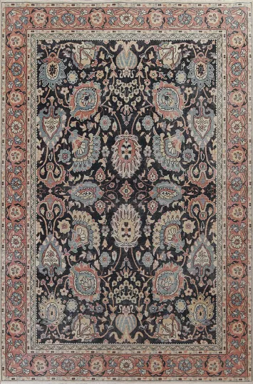 Floral Sultanabad Ziegler Oriental Area Rug 7x10