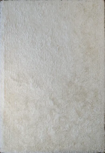 Modern Plush Shaggy Oriental Area Rug 6x9