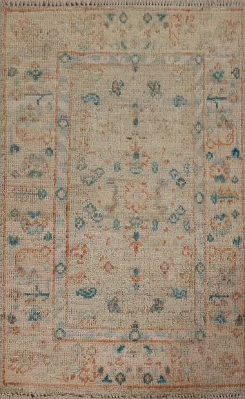 Muted Geometric Oushak Oriental Area Rug 2x3