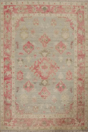 Muted Oushak Oriental Area Rug 3x4