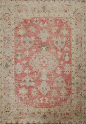 Muted Oushak Geometric Oriental Area Rug 3x4