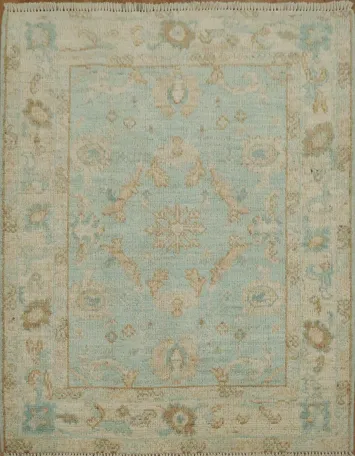 Geometric Oushak Oriental Area Rug 3x4