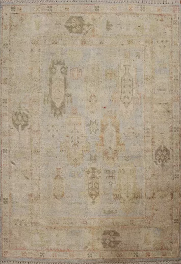 Geometric Oushak Turkish Area Rug 3x4
