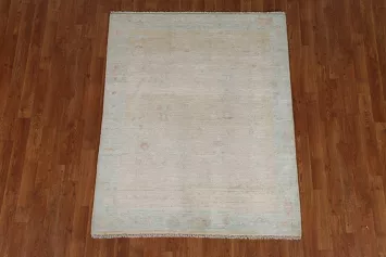 Muted Art Deco Oriental Area Rug 4x5
