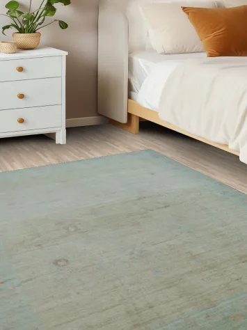 Muted Art Deco Oriental Area Rug 4x5