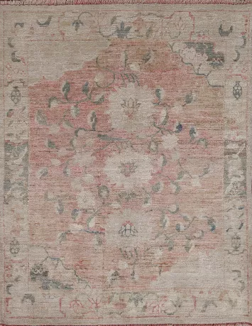 Vegetable Dye Oushak Oriental Area Rug 4x5