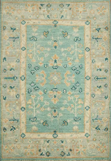 Geometric Oushak Oriental Rug 2x3