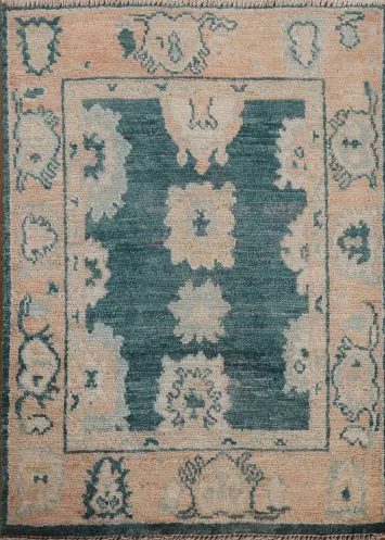 Geometric Oushak Oriental Rug 2x3