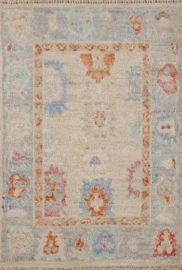 Muted Oushak Oriental Rug 2x3