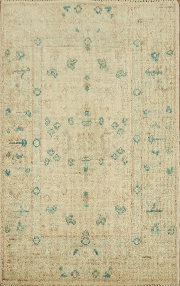 Geometric Oushak Oriental Rug 2x3