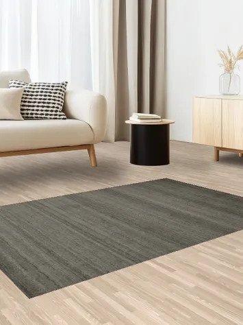 Contemporary Gray Rug with Subtle Linear Design 4x6