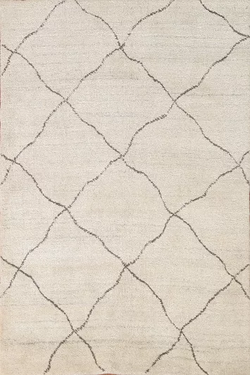 Trellis Moroccan Oriental Area Rug 4x6