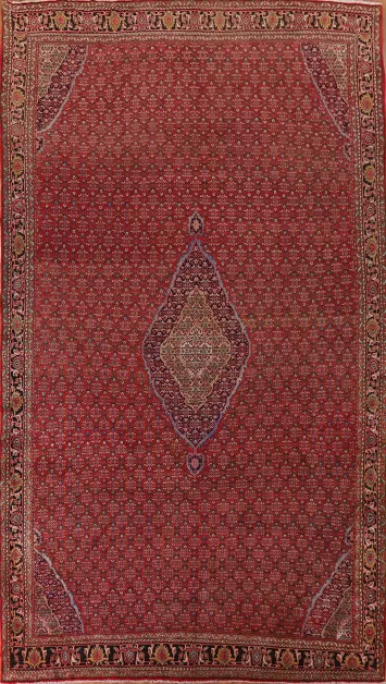 Vegetable Dye Bidjar Persian Large Rug 11x19