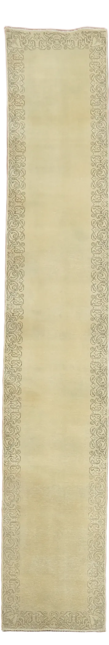 Bordered Tabriz Persian Runner Rug 3x16