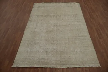 Vintage-Inspired Persian Rug with Subtle Beige Tones and Patterns 7x10