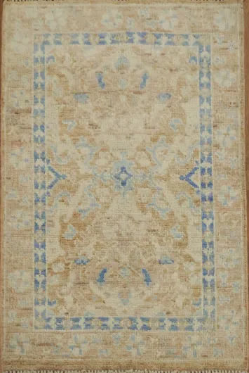 Orange Wool Oushak Turkish Rug 2x3