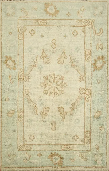 Geometric Oushak Oriental Rug 2x3
