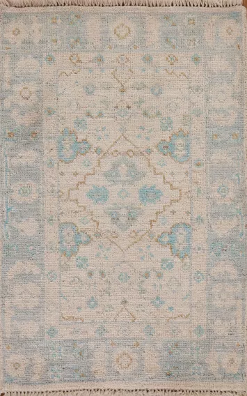 Geometric Oushak Oriental Rug 2x3