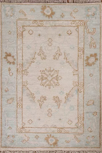 Geometric Oushak Oriental Rug 2x3