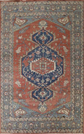 Vegetable Dye Heriz Oriental Area Rug 9x12