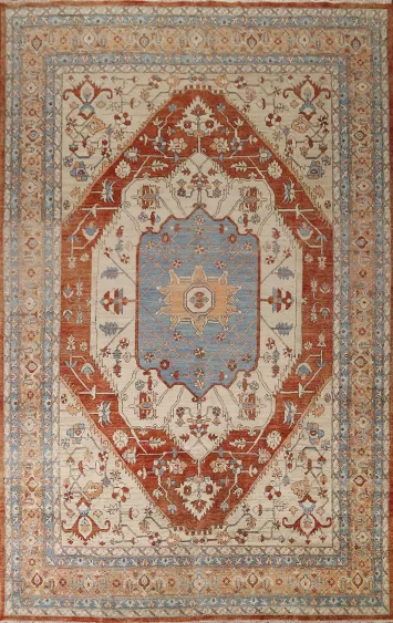 Vegetable Dye Heriz Area Rug 9x12