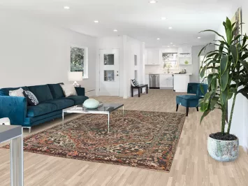 Vintage Bakhtiari Persian Area Rug 7x10