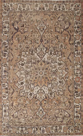 Bakhtiari Persian Area Rug 7x10