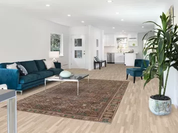 Vintage Bakhtiari Persian Area Rug 6x10