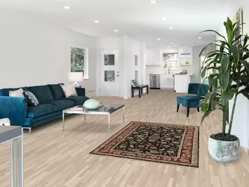 Vintage Aubusson Vegetable Dye Area Rug 4x6