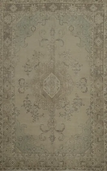 Classic Allure Soft Tabriz Persian Area Rug 6x10