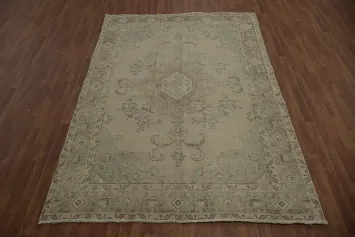 Classic Allure Soft Tabriz Persian Area Rug 6x10