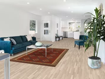 Geometric Kilim Reversible Area Rug 5x8