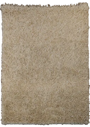 4x6 Tufted Shaggy Shag Oriental Area Rug