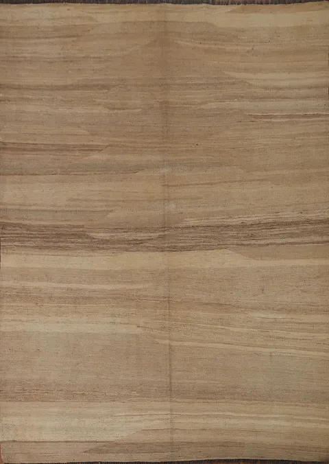 Earth Tone Kilim Oriental Area Rug 5x6
