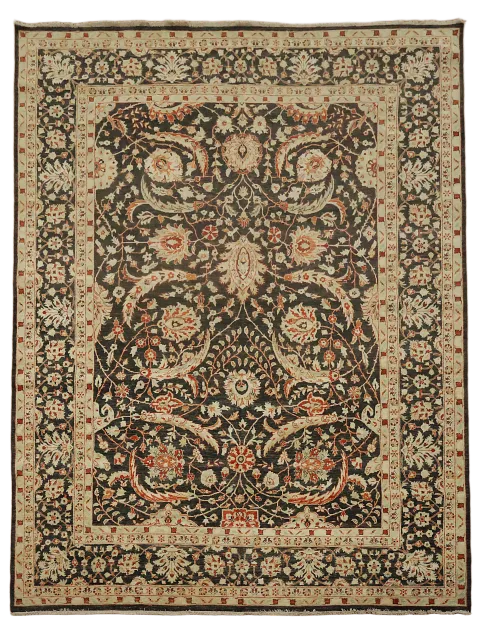 Classic Traditional Dark Brown Pakistani Rug with Detailed Border 9x12