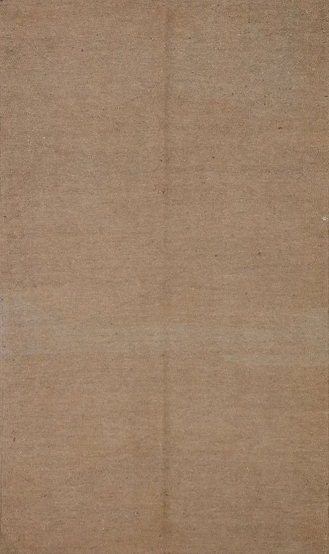Earth Tone Kilim Oriental Area Rug 4x6