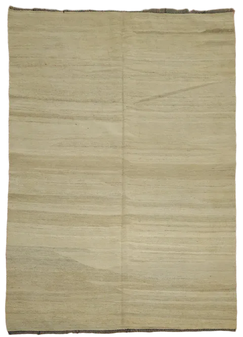 Contemporary Kilim Oriental Area Rug 5x7