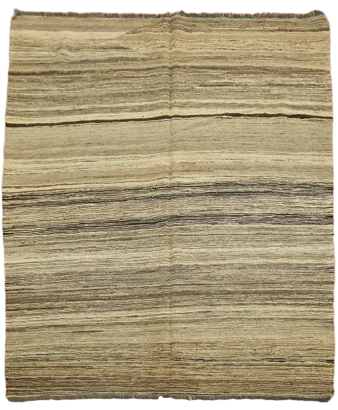 Earth Tone Kilim Oriental Area Rug 5x7