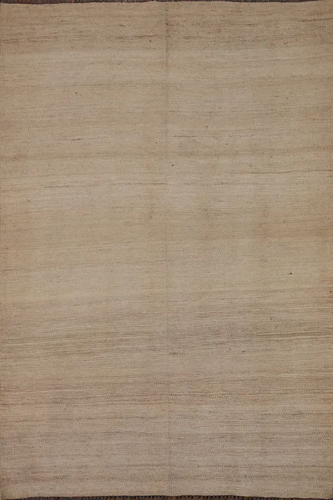 Contemporary Kilim Oriental Area Rug 4x6