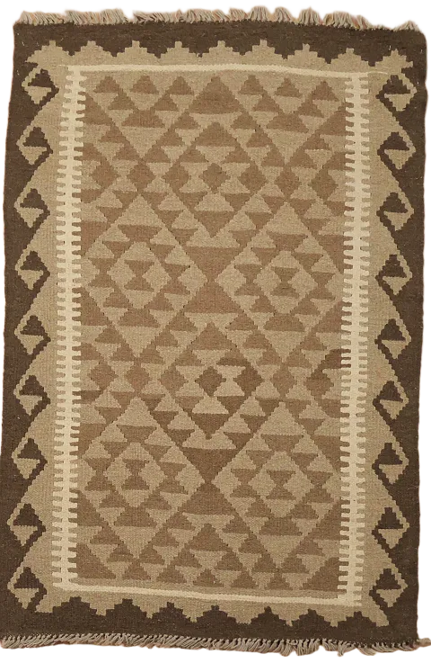 Geometric Kilim Oriental Area Rug 3x5